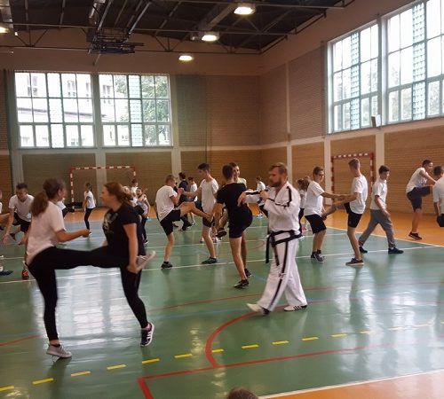 taekwondo (3)zm