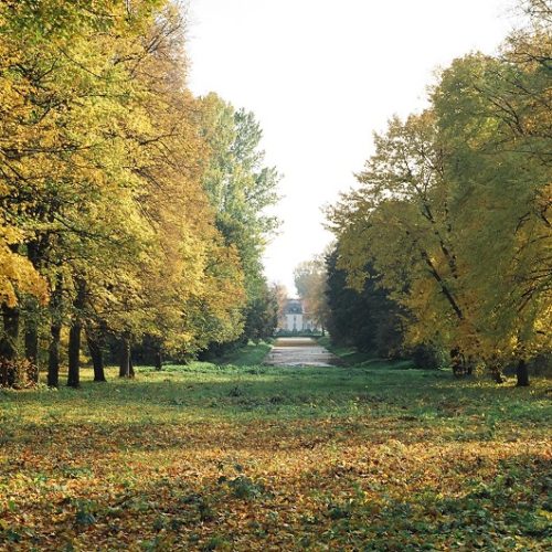 1 park przy Muzeum Wnętrz Pałącowych w Choroszczy